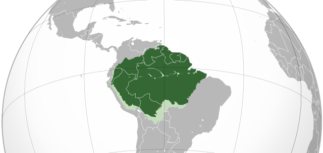 Amazon rainforest orthographic projection